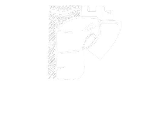 Carry Castle logo